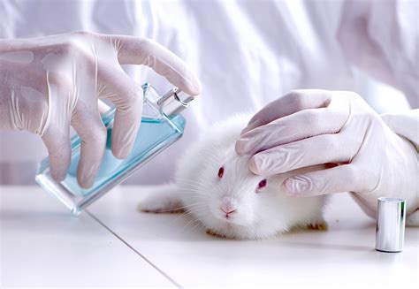 Is animal testing cruel?
